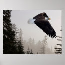 Recherche de brouillard posters Hiver