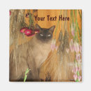 Recherche de siamois magnets Animal