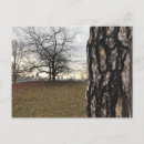 Search for tree photo postcards New york
