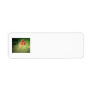 Search for wildlife return address labels Deer