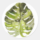 Recherche de fruit tropical autocollants Juteux