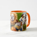 Search for halloween mugs Pets