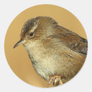 Search for wrens stickers Nature