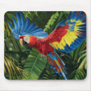 Recherche de forêt tropicale tapis souris Faune