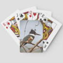 Recherche de martinique jeux de cartes Nature