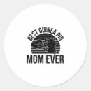 Search for hamster lovers stickers Guinea pig