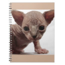 Search for ugly notebooks Cute