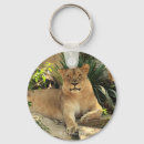 Search for lioness keychains African