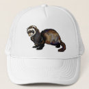 Recherche de furet casquettes Polecat