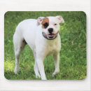 Search for boxer dogs mousepads Cute
