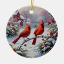 Search for red cardinal bird ornaments Snow