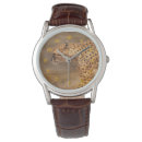 Recherche de guépard montres Animaux africains