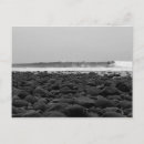 Recherche de chevalet cartes postales Californie