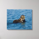Search for sea otter canvas prints Animals in the wild