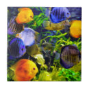 Search for aquatic tiles Water