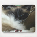 Recherche de cat lover gifts Animaux domestiques
