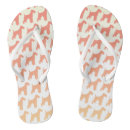 Search for terrier shoes Airedale