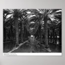 Search for irrigation posters California