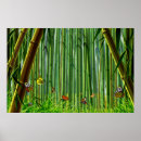 Recherche de bambou posters Papillon