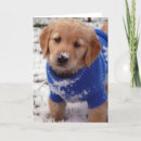 Search for patriotic dog cards Puppy