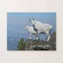 Search for goat puzzles mountain goats