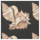 Search for coastal fabric Seashell