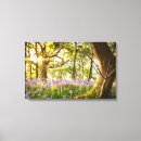 Search for bluebell canvas prints Forest