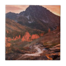 Search for washington state tiles Sunset