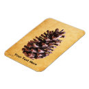 Search for pine cones magnets Vintage