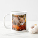 Search for corgi puppy mugs Pet