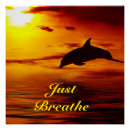 Search for dolphins at sunset posters Sea