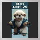 Recherche de tzu posters Chien