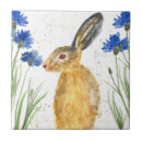 Search for hare tiles Nature