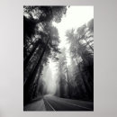 Recherche de sequoia posters Paysage