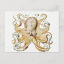 Search for octopus illustration postcards Animal
