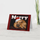 Search for staffordshire bull terrier christmas cards Xmas