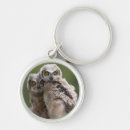 Search for focus on foreground keychains Colour image
