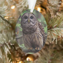 Search for barred owl ornaments Wildlife