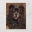 Recherche de yogi en cartes postales Animal