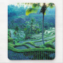 Search for bali mousepads Travel