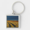 Search for bushes keychains Superstock