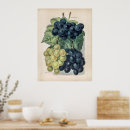 Recherche de vin vintage posters Pour lui