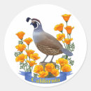 Search for quails stickers Birds