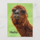 Search for occasions vertical postcards Fun