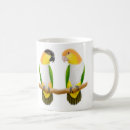 Search for caique parrot mugs Parrots