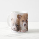 Search for cute corgi puppy mugs Pet