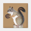 Recherche de dessin crayon magnets Forêt