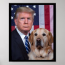 Search for funny flag posters Usa