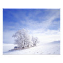 Recherche de photo de grand format posters Neige