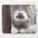 Search for sloth mousepads Adorable